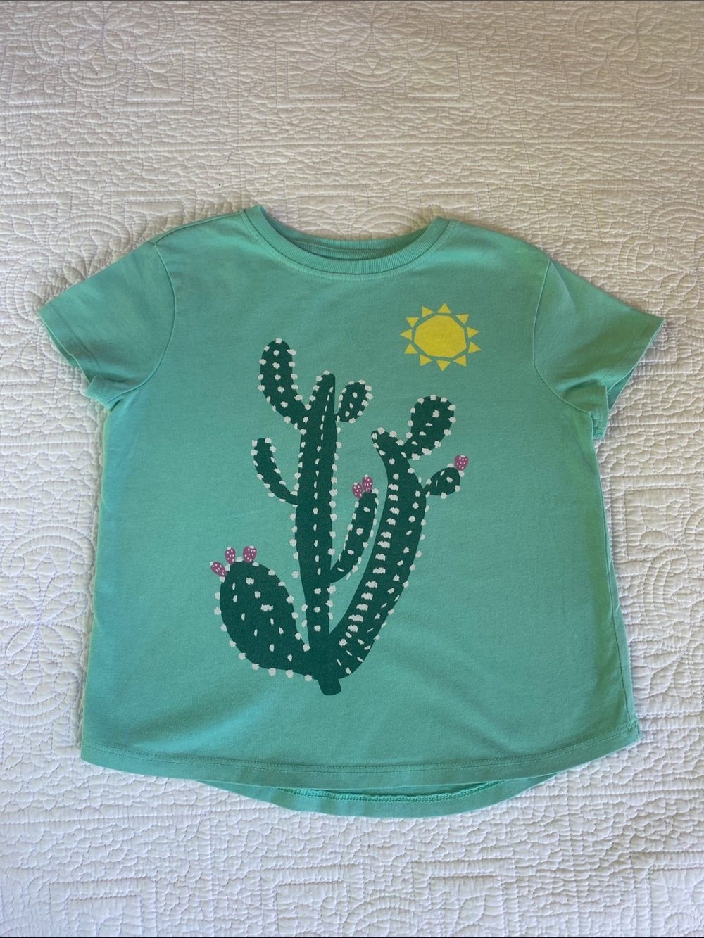 Hanna Andersson Mint Green Tee with Dark Green Cactus & Yellow Sun